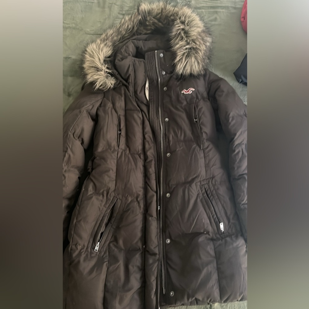 Hollister Parka